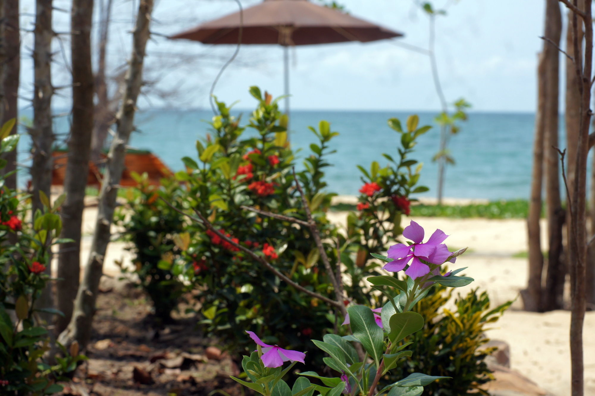 Gold Sand Beach Bungalow Phú Quốc-sziget Kültér fotó